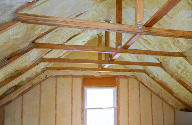 Types of Insulation We Offer in Bodfish, CA