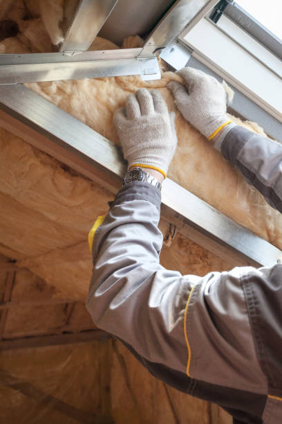Best Residential Insulation in Bodfish, CA
